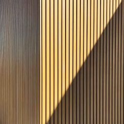 MATERIALE_2_Agrumella